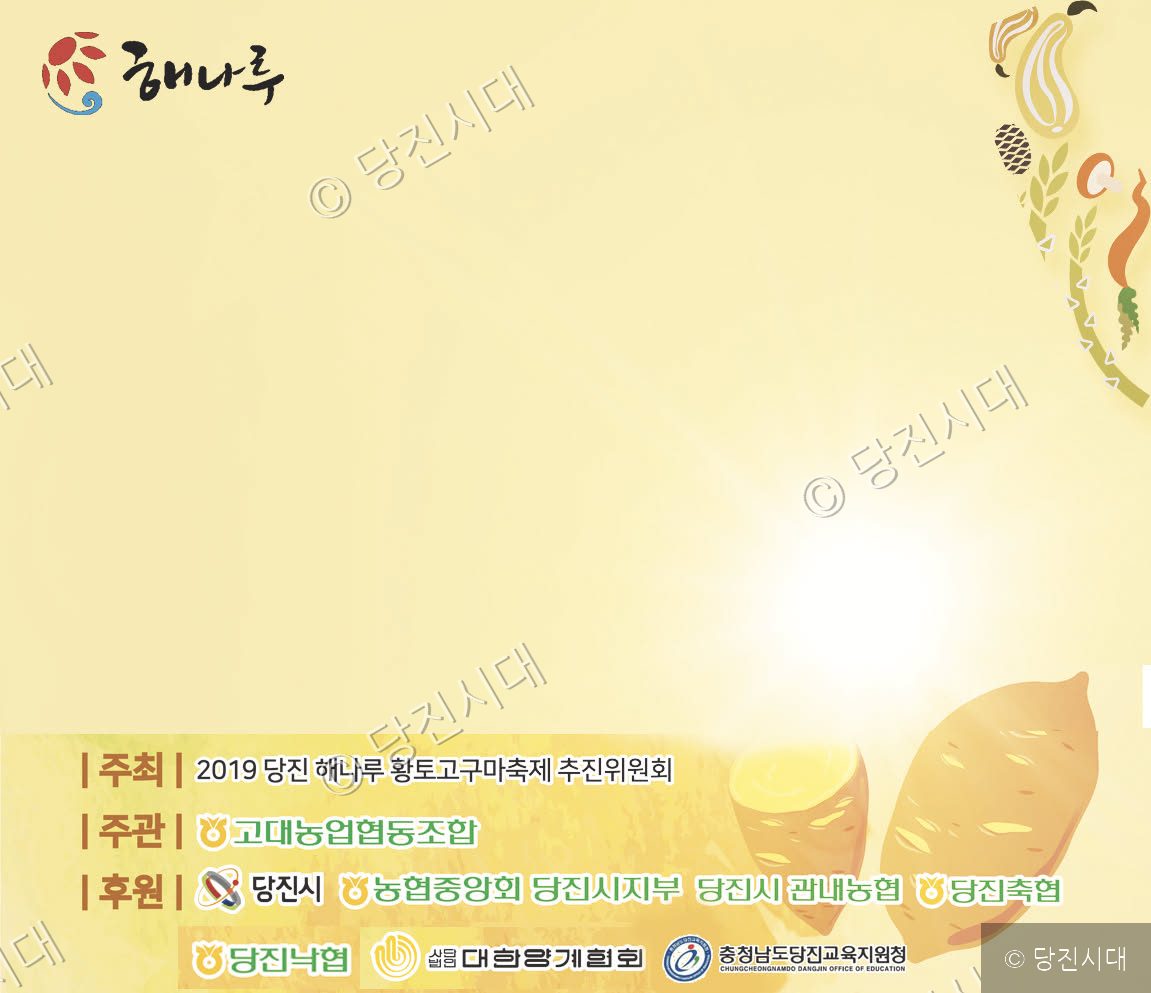 편집컴퓨터백업 · 당진시대db구축관련 · 해나루 바탕