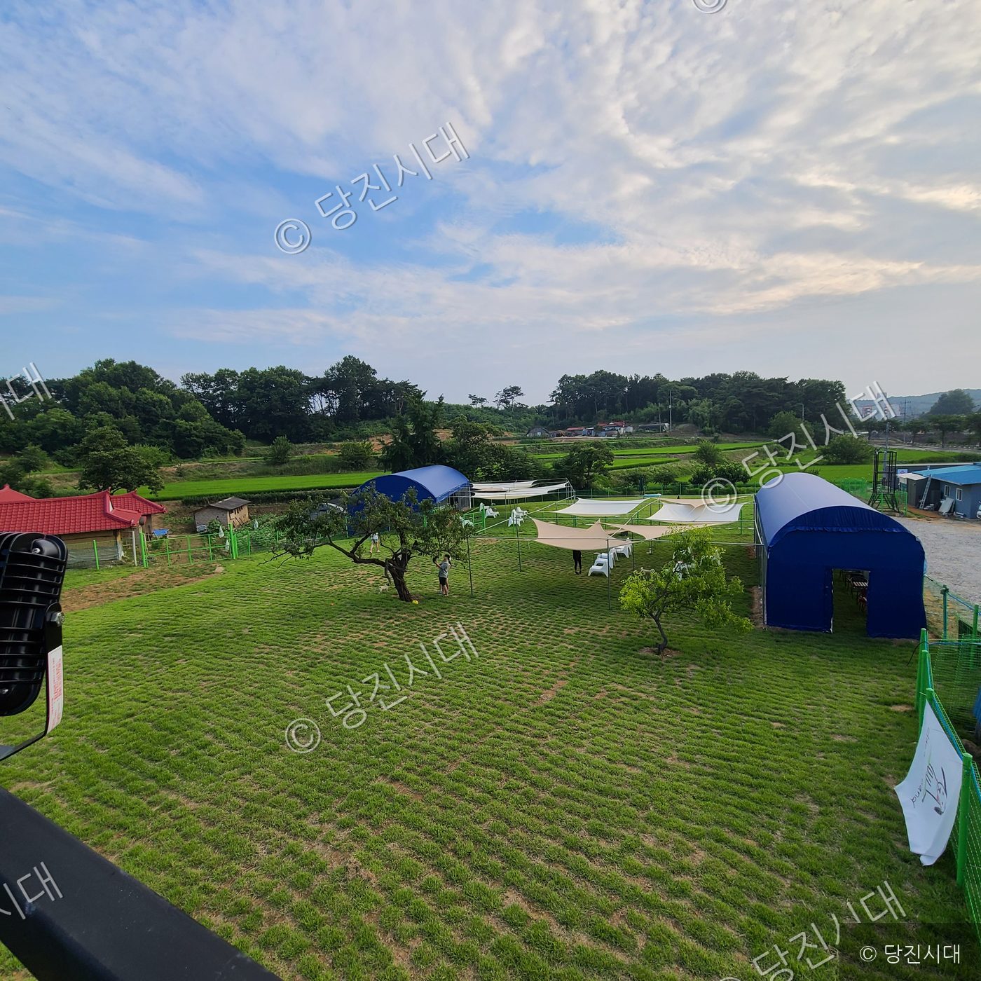 송산면 매곡리에 위치한 반려견 야외 운동장 댕버랜드 전경을 보여주고 있다.