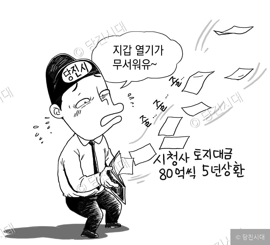 편집컴퓨터백업 · 당진시대db구축관련 · 당진시대카툰