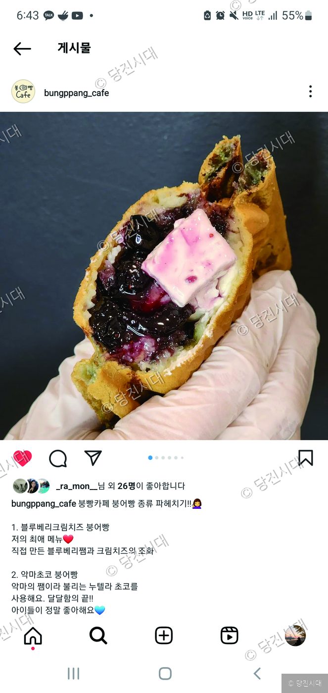 블루베리잼과 크림치즈가 들어간 붕어빵을 손에 들고 있다.