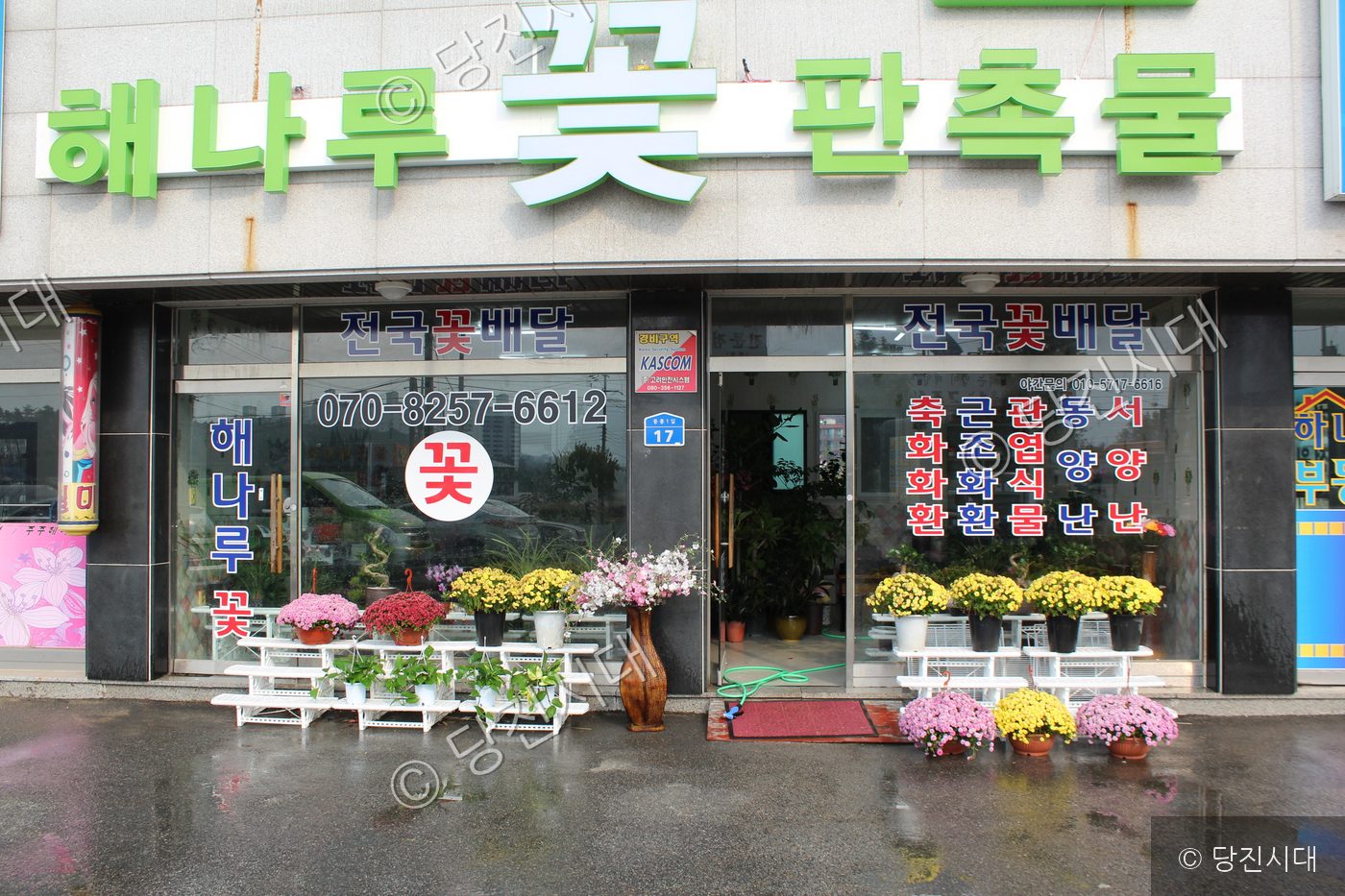 해나루꽃판촉물 가게 앞에 화분과 꽃들이 진열되어 있다.