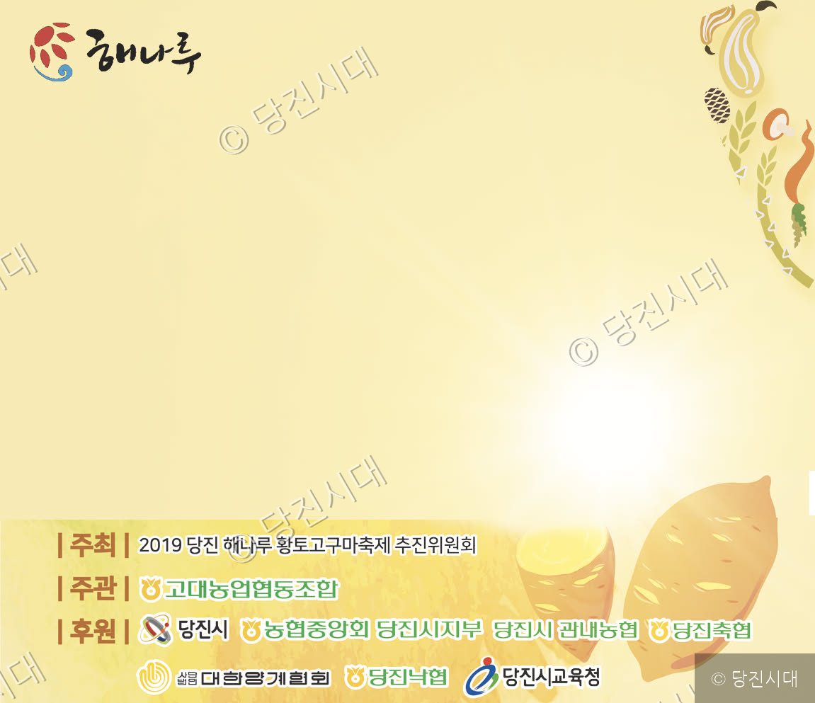 편집컴퓨터백업 · 당진시대db구축관련 · 해나루 바탕