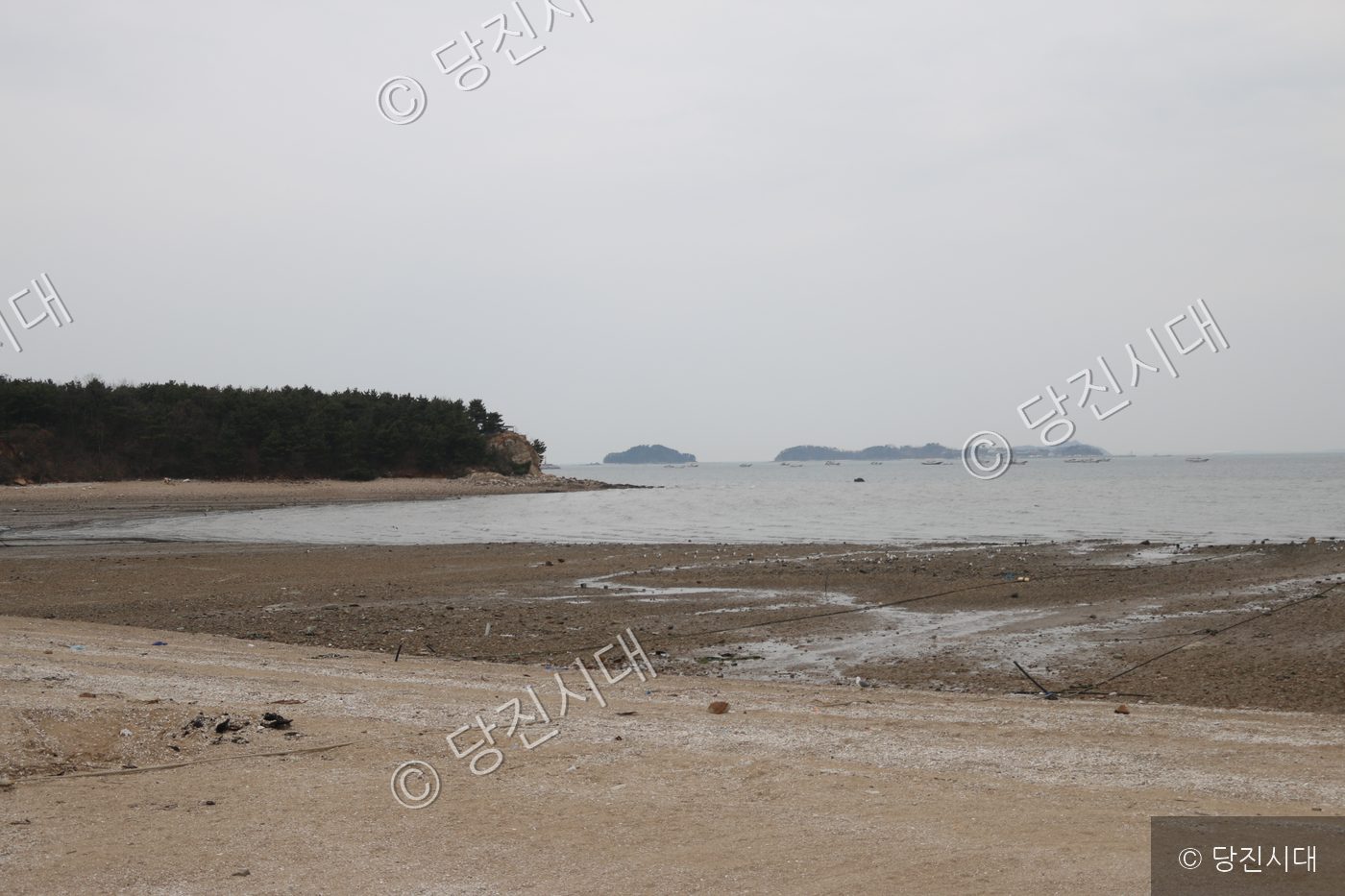 갯벌과 바다가 어우러진 해안 풍경이 펼쳐져 있다.