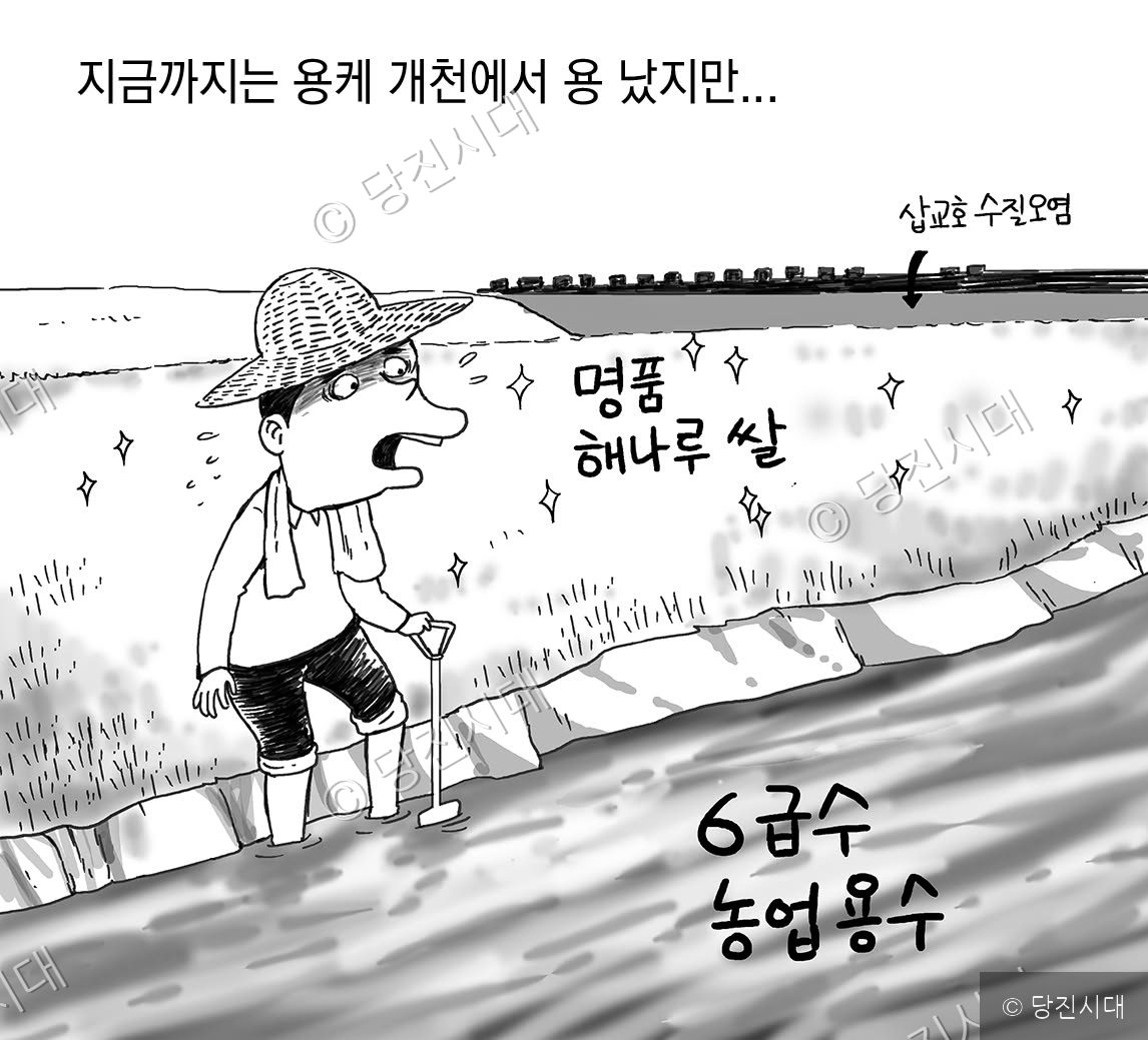 편집컴퓨터백업 · 당진시대db구축관련 · 당진시대카툰