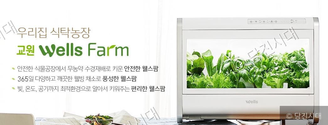 실내에서 채소를 수경재배할 수 있는 가정용 식물재배기 웰스팜의 모습이다.